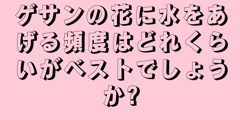 ゲサンの花に水をあげる頻度はどれくらいがベストでしょうか?