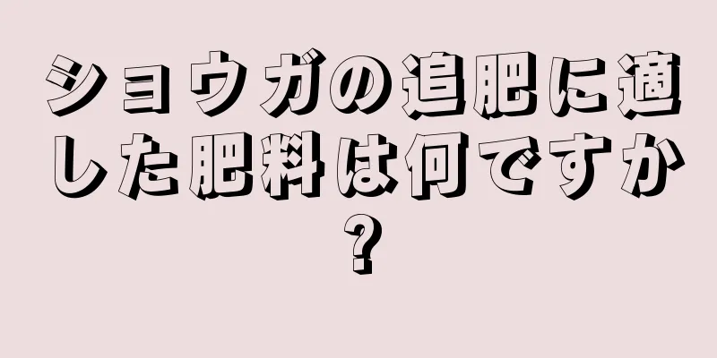 ショウガの追肥に適した肥料は何ですか?