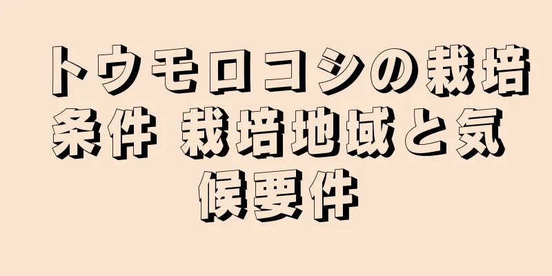 トウモロコシの栽培条件 栽培地域と気候要件