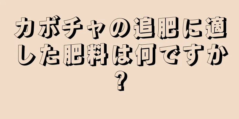カボチャの追肥に適した肥料は何ですか?