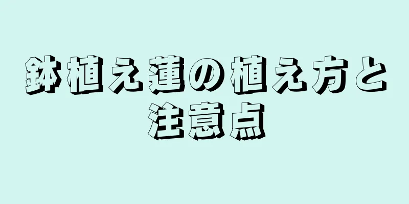 鉢植え蓮の植え方と注意点