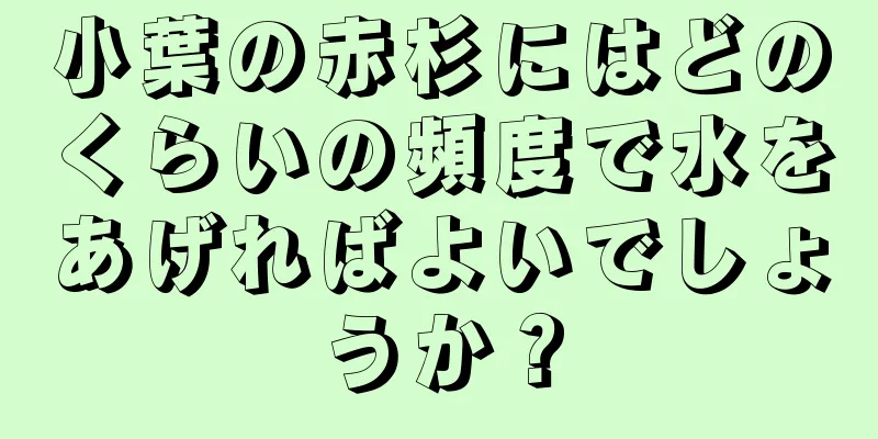 小葉の赤杉にはどのくらいの頻度で水をあげればよいでしょうか？