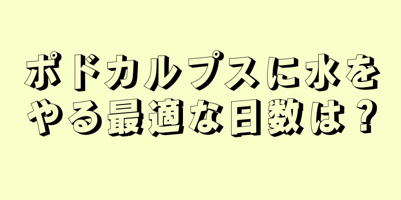 ポドカルプスに水をやる最適な日数は？