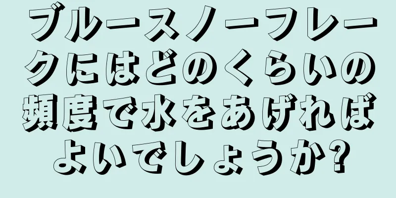 ブルースノーフレークにはどのくらいの頻度で水をあげればよいでしょうか?
