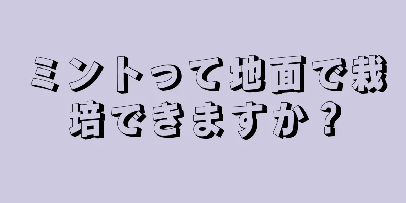 ミントって地面で栽培できますか？
