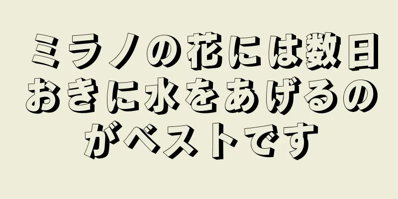 ミラノの花には数日おきに水をあげるのがベストです