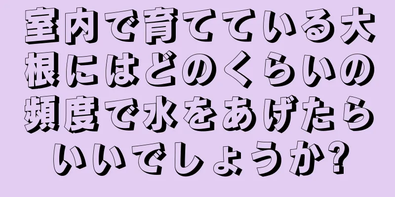 室内で育てている大根にはどのくらいの頻度で水をあげたらいいでしょうか?