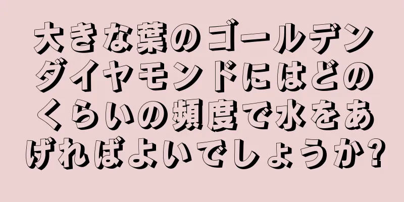 大きな葉のゴールデンダイヤモンドにはどのくらいの頻度で水をあげればよいでしょうか?