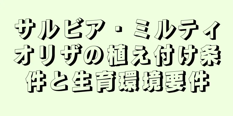 サルビア・ミルティオリザの植え付け条件と生育環境要件