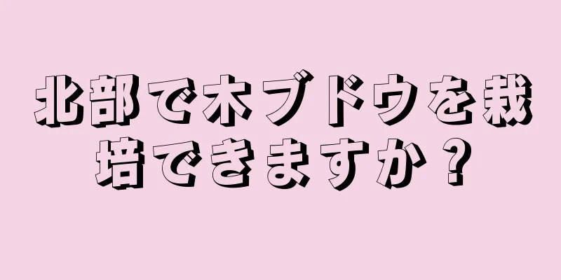 北部で木ブドウを栽培できますか？