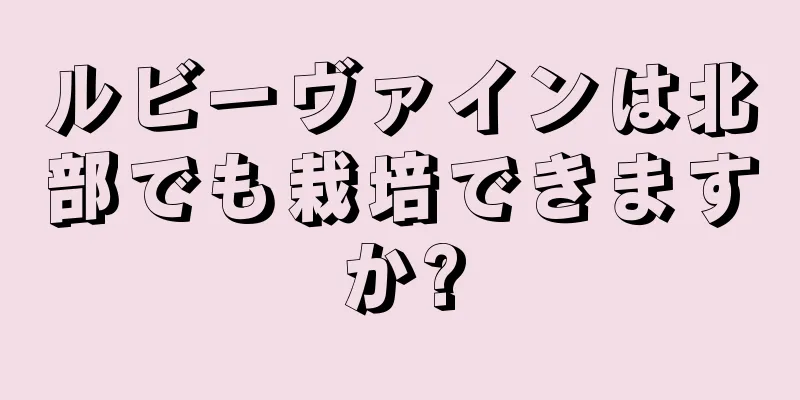 ルビーヴァインは北部でも栽培できますか?