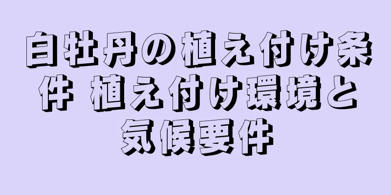 白牡丹の植え付け条件 植え付け環境と気候要件