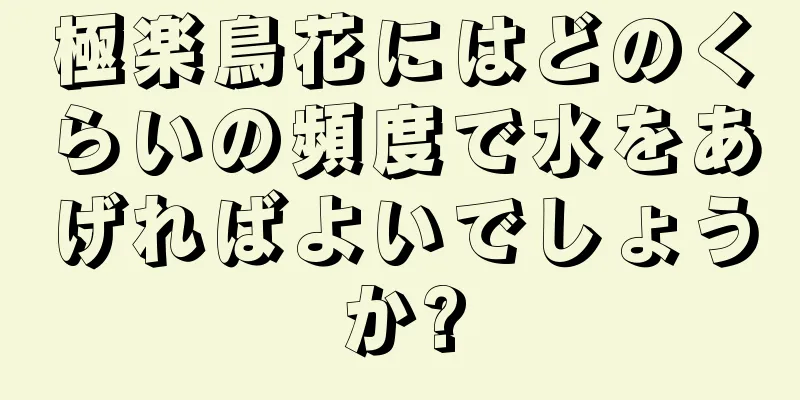 極楽鳥花にはどのくらいの頻度で水をあげればよいでしょうか?