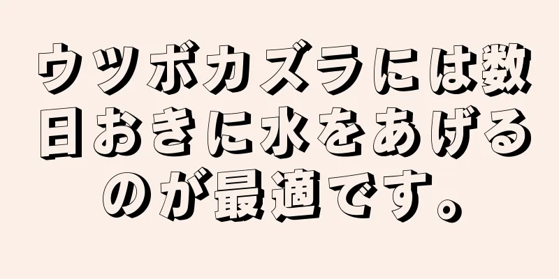 ウツボカズラには数日おきに水をあげるのが最適です。