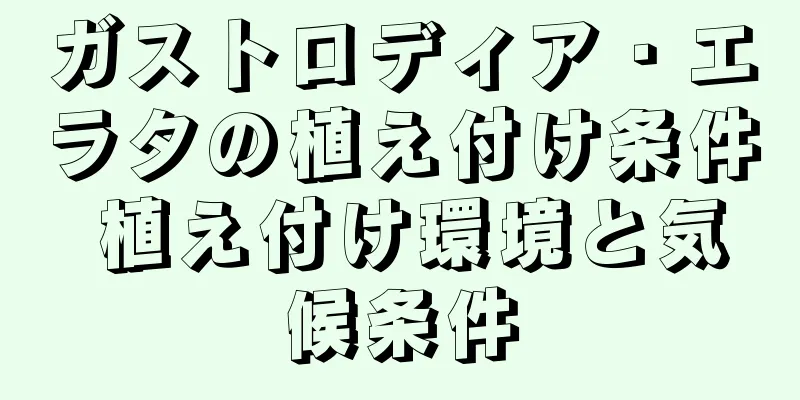 ガストロディア・エラタの植え付け条件 植え付け環境と気候条件
