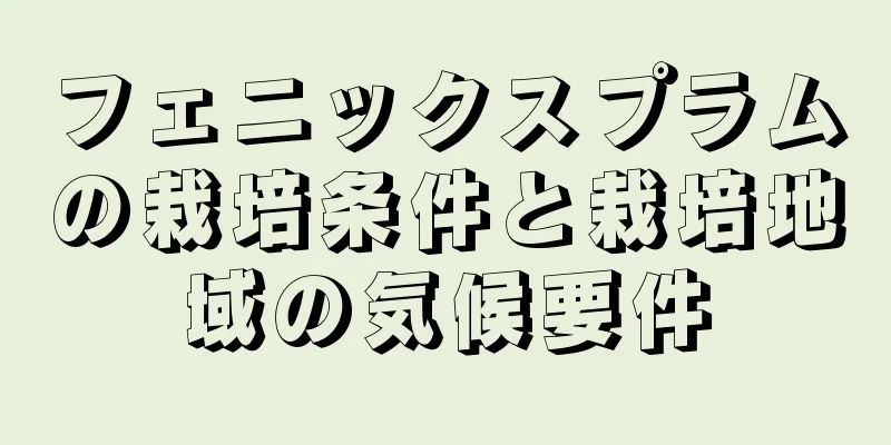 フェニックスプラムの栽培条件と栽培地域の気候要件