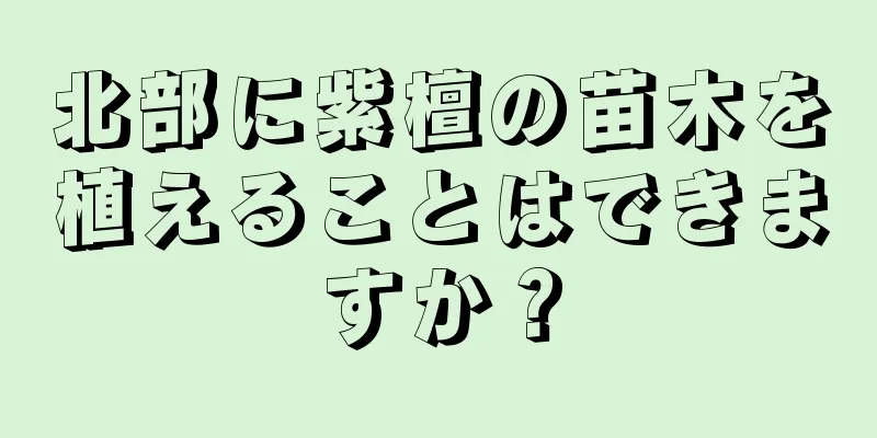 北部に紫檀の苗木を植えることはできますか？