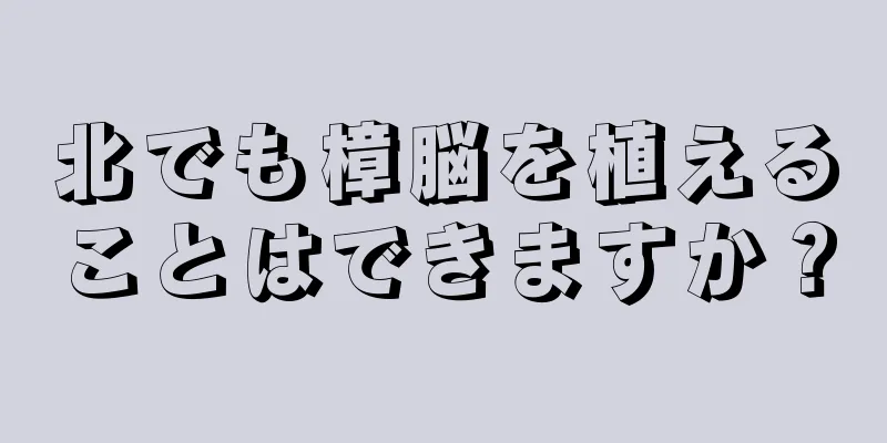 北でも樟脳を植えることはできますか？