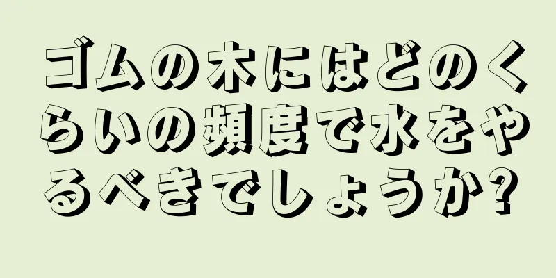 ゴムの木にはどのくらいの頻度で水をやるべきでしょうか?