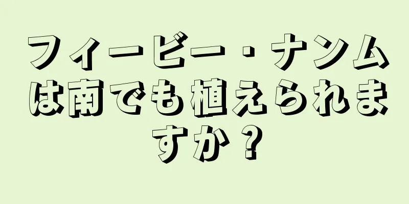 フィービー・ナンムは南でも植えられますか？