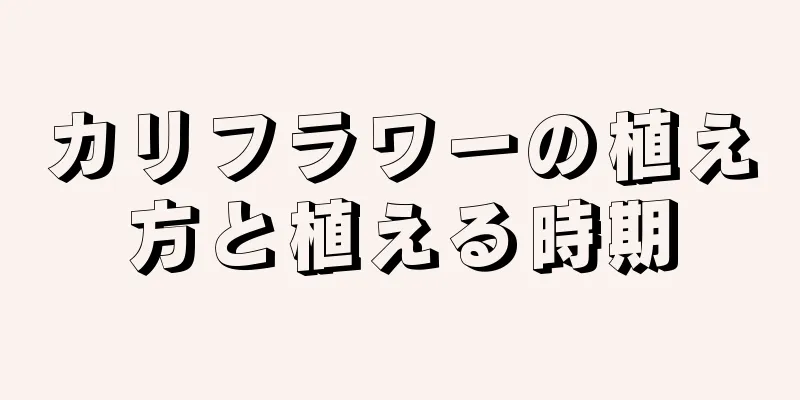 カリフラワーの植え方と植える時期