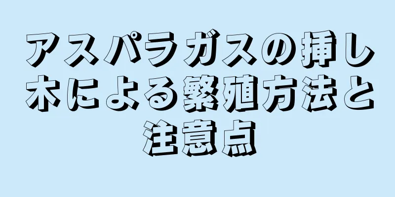アスパラガスの挿し木による繁殖方法と注意点
