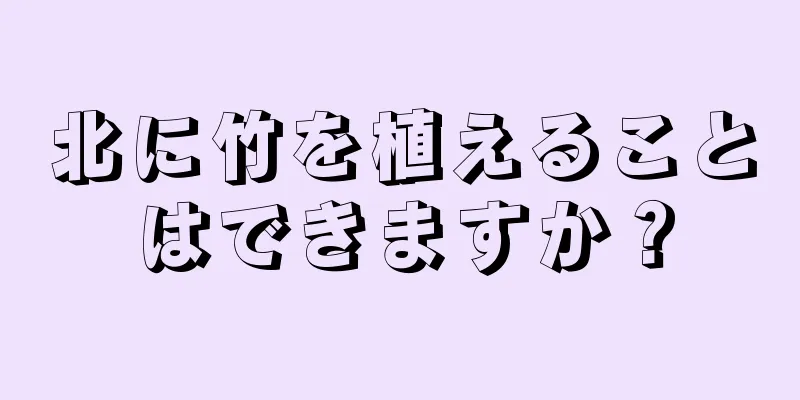 北に竹を植えることはできますか？