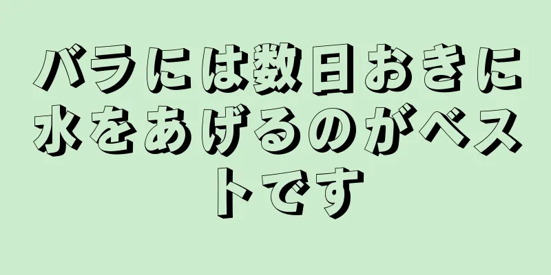 バラには数日おきに水をあげるのがベストです