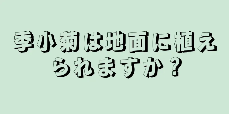 季小菊は地面に植えられますか？