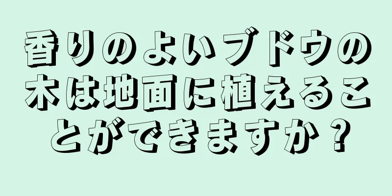 香りのよいブドウの木は地面に植えることができますか？