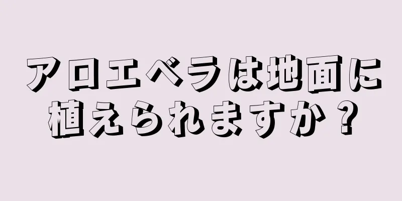 アロエベラは地面に植えられますか？