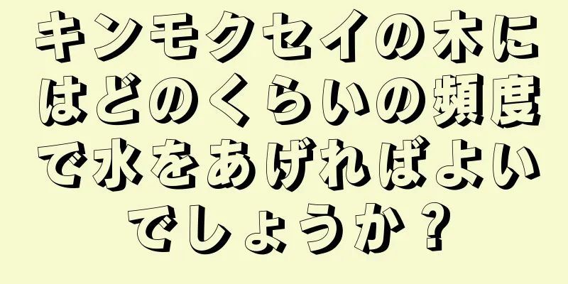 キンモクセイの木にはどのくらいの頻度で水をあげればよいでしょうか？
