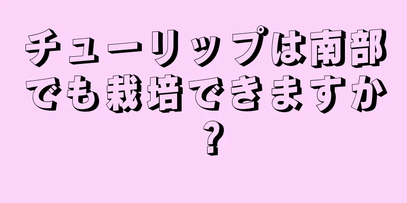 チューリップは南部でも栽培できますか？