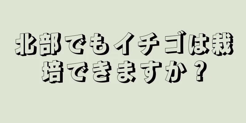 北部でもイチゴは栽培できますか？