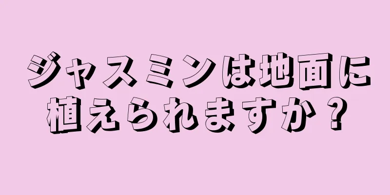 ジャスミンは地面に植えられますか？