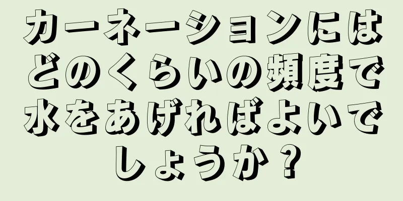 カーネーションにはどのくらいの頻度で水をあげればよいでしょうか？
