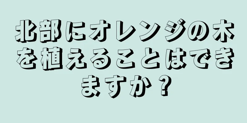 北部にオレンジの木を植えることはできますか？