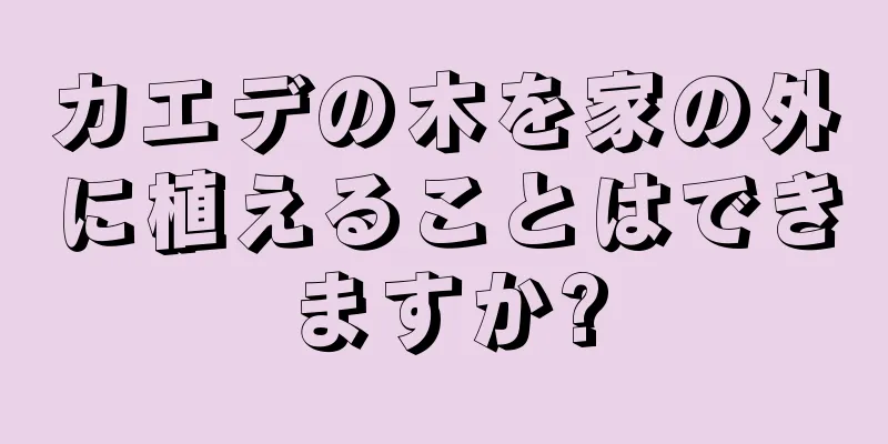 カエデの木を家の外に植えることはできますか?