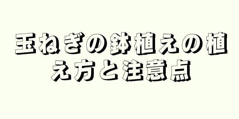 玉ねぎの鉢植えの植え方と注意点