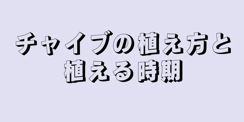 チャイブの植え方と植える時期