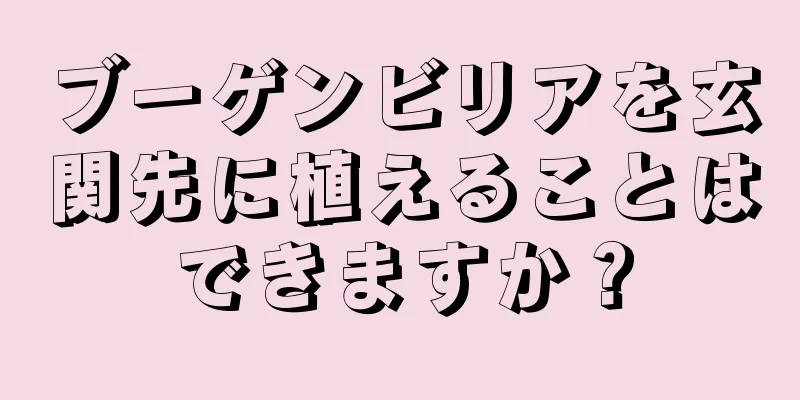 ブーゲンビリアを玄関先に植えることはできますか？