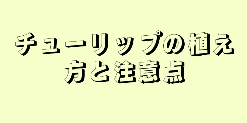 チューリップの植え方と注意点