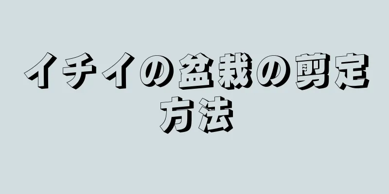 イチイの盆栽の剪定方法