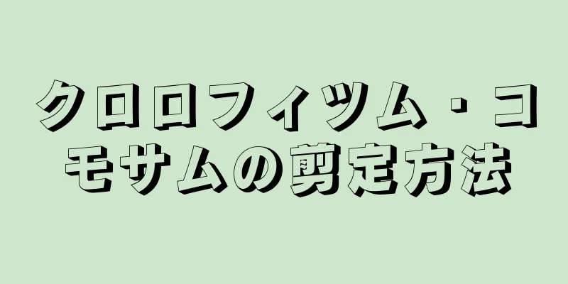 クロロフィツム・コモサムの剪定方法