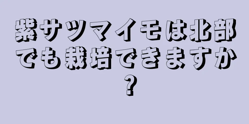 紫サツマイモは北部でも栽培できますか？