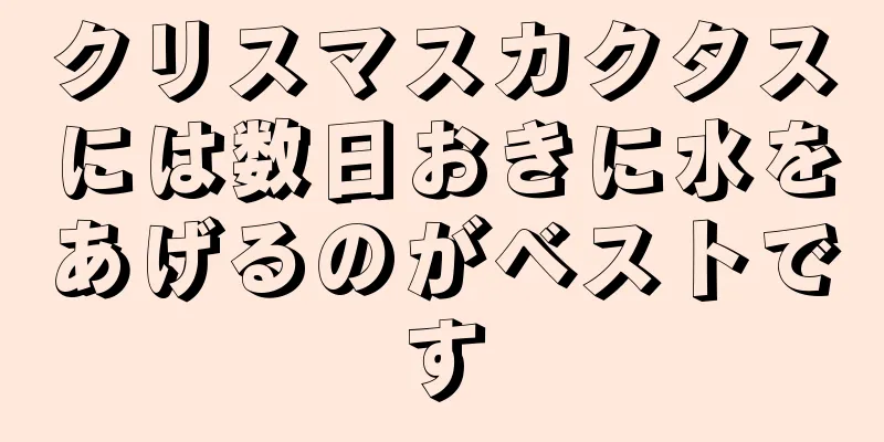 クリスマスカクタスには数日おきに水をあげるのがベストです