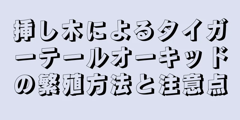挿し木によるタイガーテールオーキッドの繁殖方法と注意点