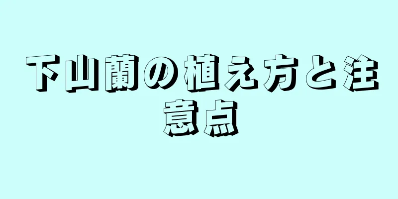 下山蘭の植え方と注意点