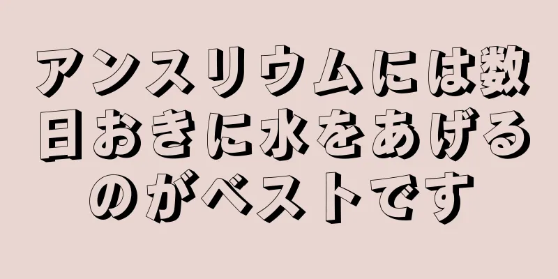 アンスリウムには数日おきに水をあげるのがベストです