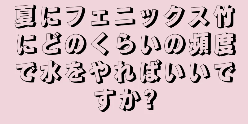 夏にフェニックス竹にどのくらいの頻度で水をやればいいですか?
